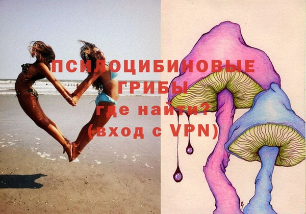 apvp Осинники
