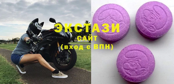 шишки Няндома